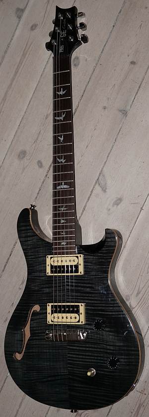 PRS SE Custom